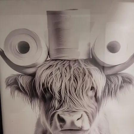 Sol Y Dunas * كوراليهو